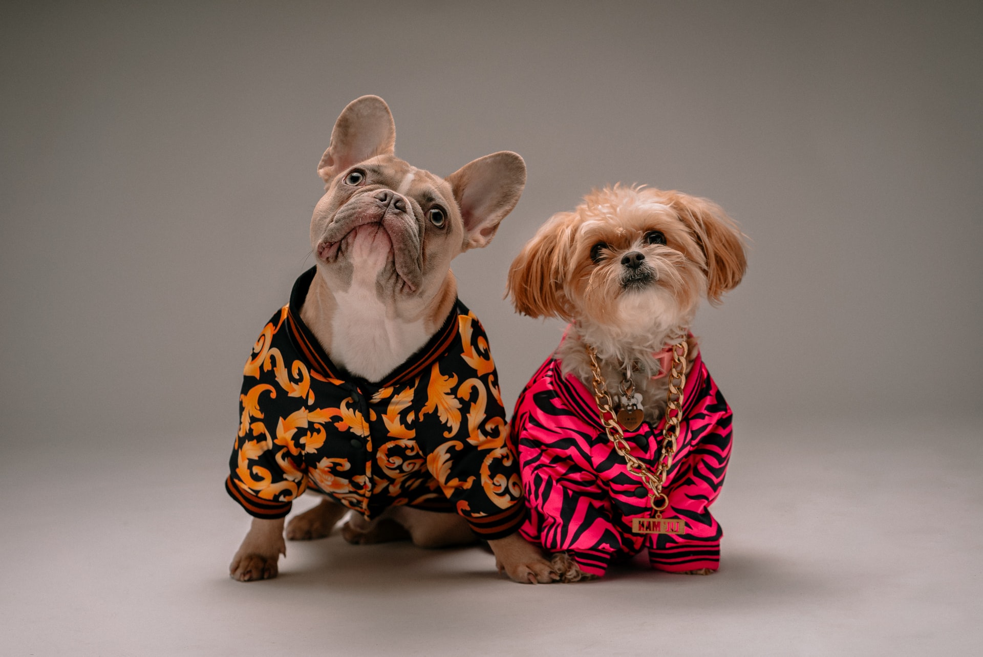 Pet Supplies
